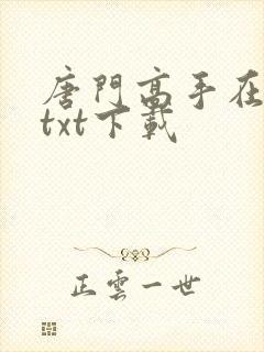 唐门高手在异世txt下载
