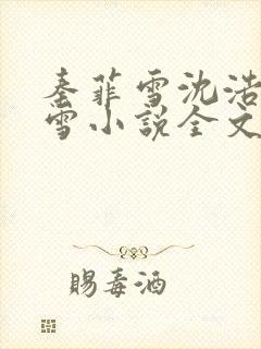 秦菲雪沈浩秦菲雪小说全文免费阅读求书