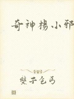 奇神杨小邪封面