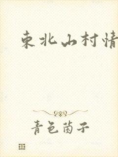 东北山村情事