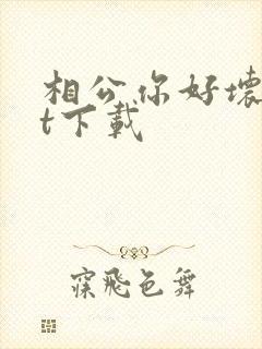 相公你好坏txt下载