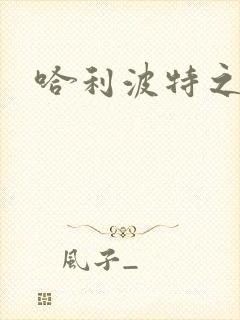 哈利波特之守护