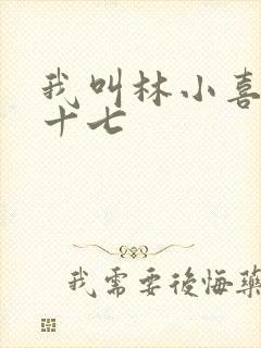 我叫林小喜今年十七