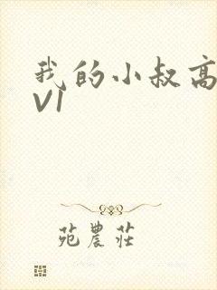 我的小叔高H1V1封面