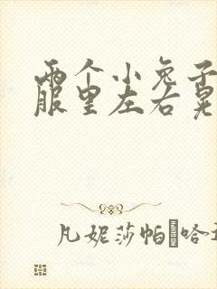 两个小兔子在衣服里左右晃