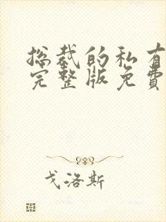 总裁的私有宝贝完整版免费阅读