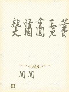 亲情会王芳高敏大团圆免费阅读