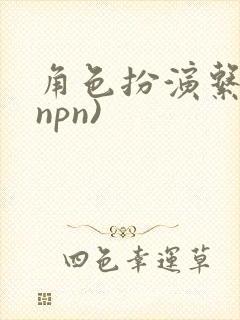 角色扮演系统(npn)