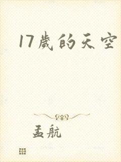 17岁的天空
