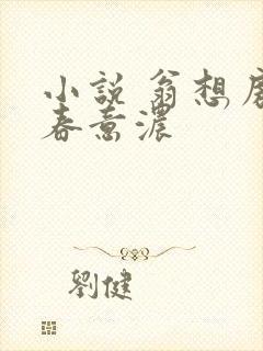 小说 翁想房中春意浓