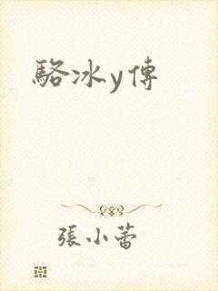 骆冰y传封面