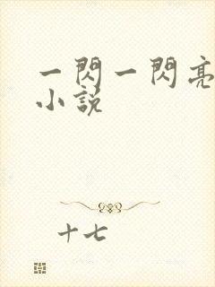 一闪一闪亮星星小说