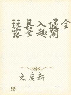 玩具入侵金银花露笔趣阁封面