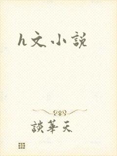 h文小说封面