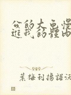 公的大龟慢慢挺进我的体内视频