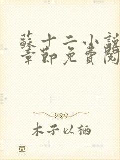 苏十二小说最新章节免费阅读