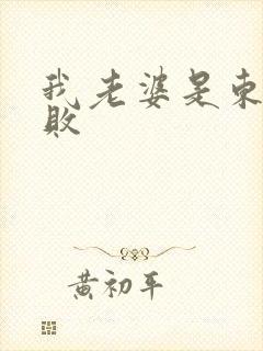 我老婆是东方不败封面