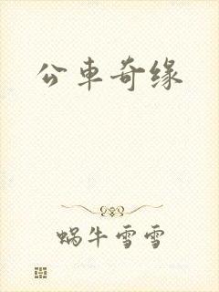 公车奇缘