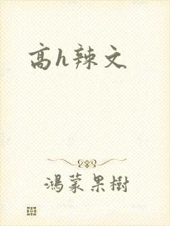 高h辣文