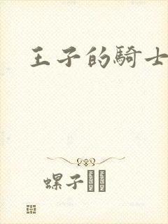 王子的骑士
