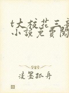 t大校花三部曲小说免费阅读全文