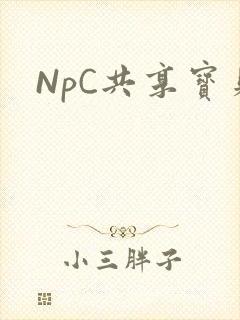 NpC共享宝贝封面