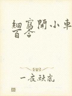 细写开小车车的百合