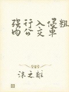 强行入侵粗暴h肉公交车封面