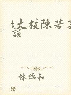 t大校陈若芸小说封面