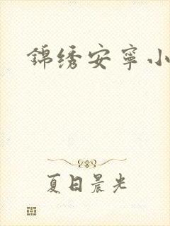 锦绣安宁小说