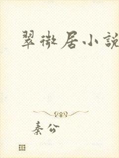 翠微居小说封面