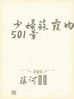 少妇苏霞肉欲第501章