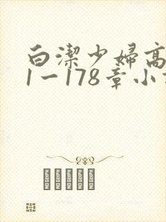 白洁少妇高义第1一178章小说封面