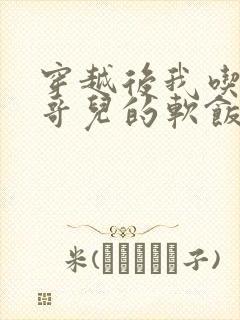 穿越后我吃到了哥儿的软饭炉山灰