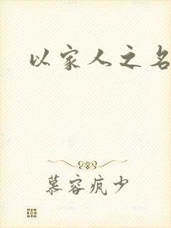 以家人之名小说