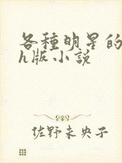 各种明星的综艺h版小说