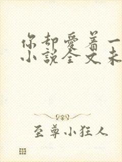 你却爱着一个他小说全文未删减免费