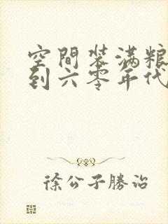 空间装满粮食回到六零年代