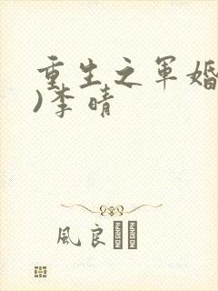 重生之军婚(h)李晴