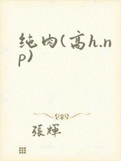纯肉(高h.np)