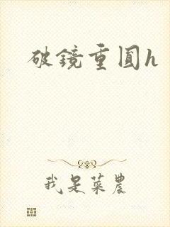破镜重圆h