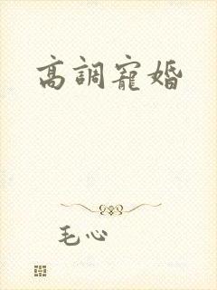 高调宠婚