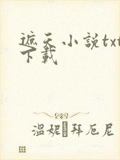 遮天小说txt下载封面