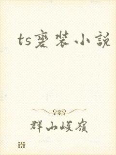 ts变装小说