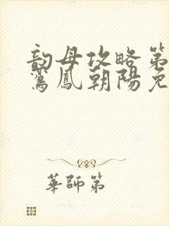 韵母攻略第二部鸾凤朝阳免费阅读封面