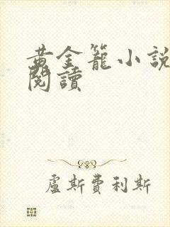 黄金笼小说免费阅读