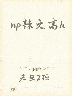 np辣文高h封面