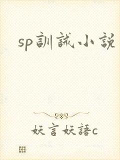 sp训诫小说封面