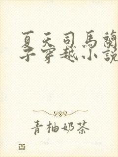 夏天司马兰九皇子穿越小说笔趣阁