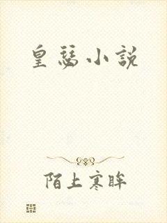 皇瑟小说